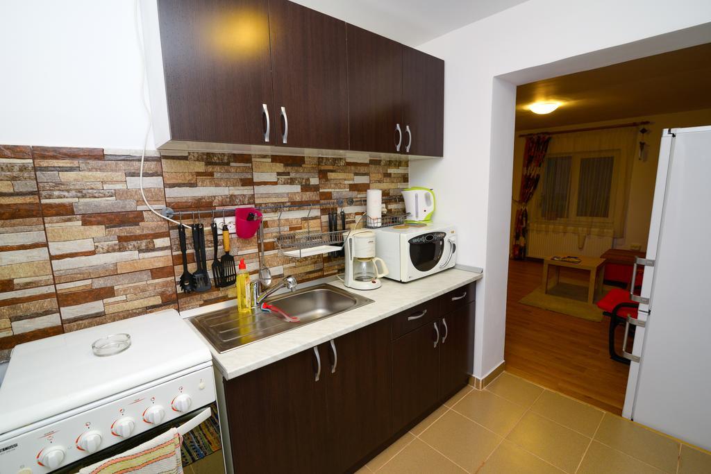 Otopeni Therme Airport Apartment 部屋 写真