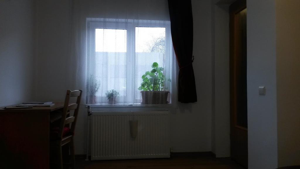 Otopeni Therme Airport Apartment 部屋 写真