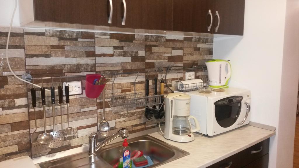 Otopeni Therme Airport Apartment 部屋 写真