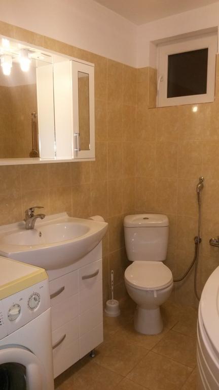 Otopeni Therme Airport Apartment 部屋 写真