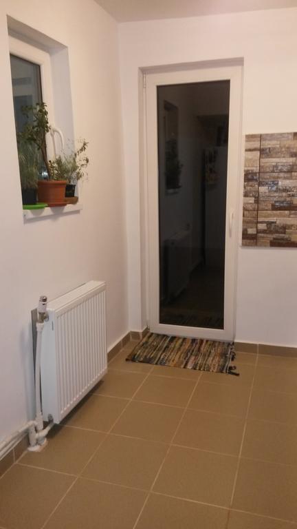 Otopeni Therme Airport Apartment 部屋 写真