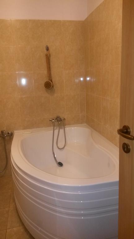 Otopeni Therme Airport Apartment 部屋 写真
