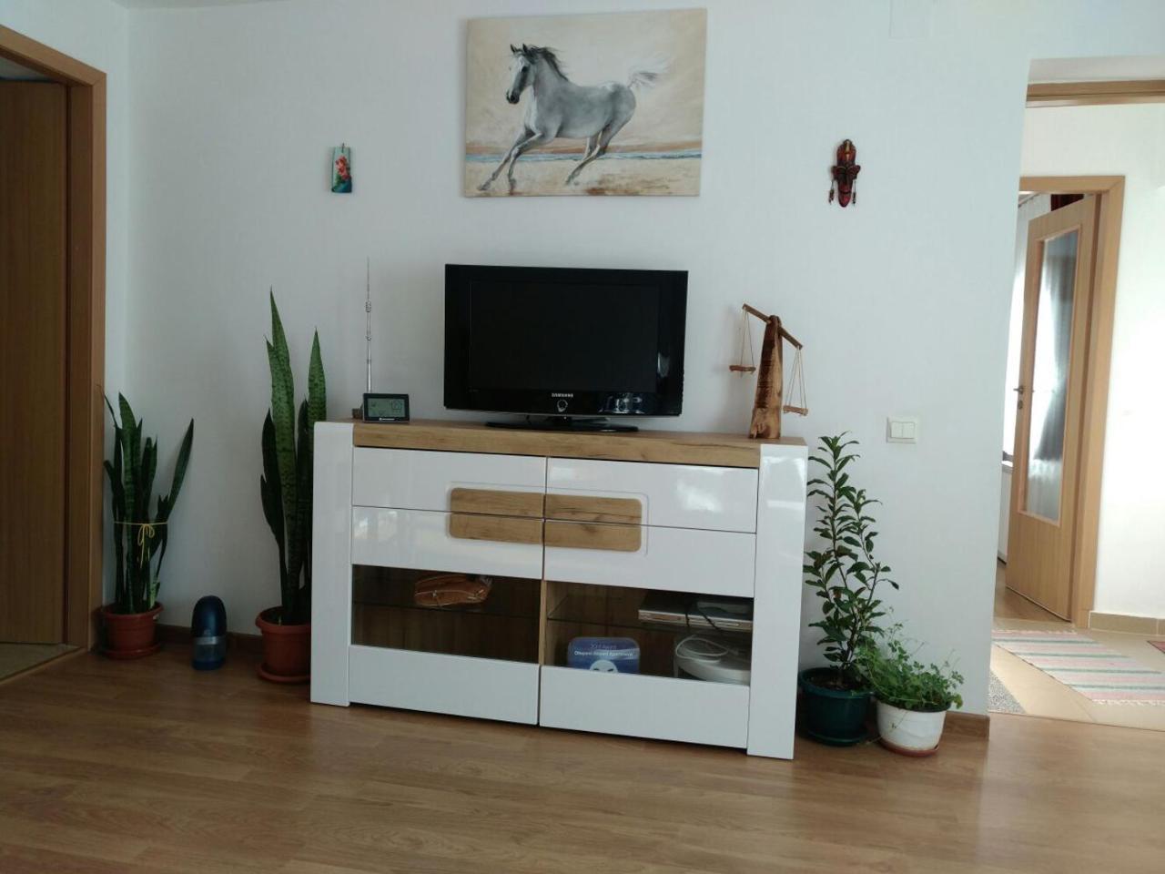 Otopeni Therme Airport Apartment エクステリア 写真